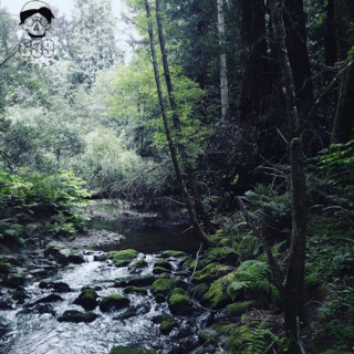 Ramirez - Meet Me Where The River Turns Grey album cover