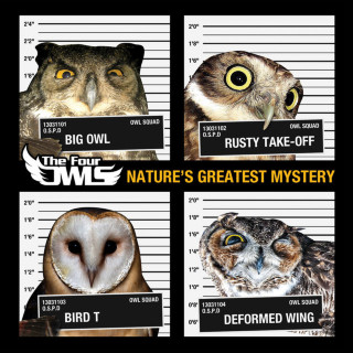 The Four Owls - Nature's Greatest Mystery album cover