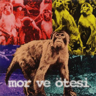 mor ve ötesi - Bırak Zaman Aksın album cover