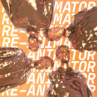 Everything Everything - Re-Animator album cover