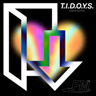 Phlake - The Illegal Download Of Your Soul album cover