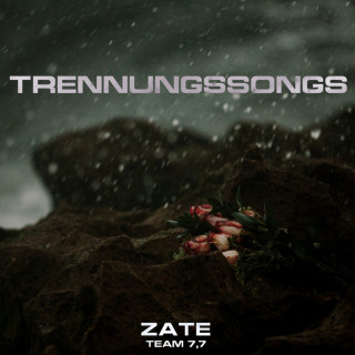 Zate - Trennungssongs single cover