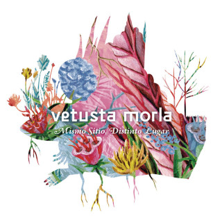 Vetusta Morla - Mismo Sitio, Distinto Lugar album cover