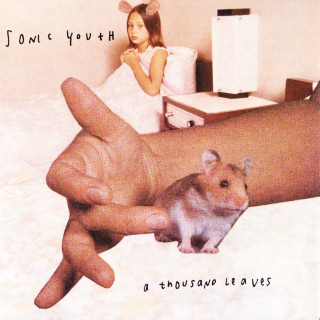 Sonic Youth - A Thousand Leaves album cover