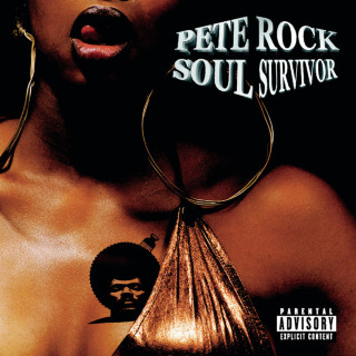 Pete Rock - Soul Survivor album cover