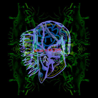 All Them Witches - Nothing As The Ideal album cover