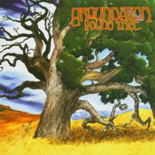 Groundation - Young Tree album cover