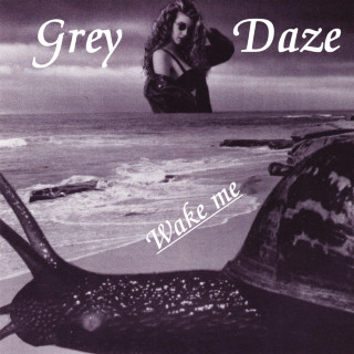 Grey Daze - Wake Me album cover