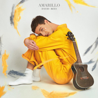 David Rees - Amarillo album cover