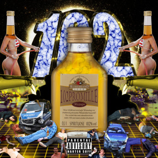 102 Boyz - 102 Promille mixtape cover