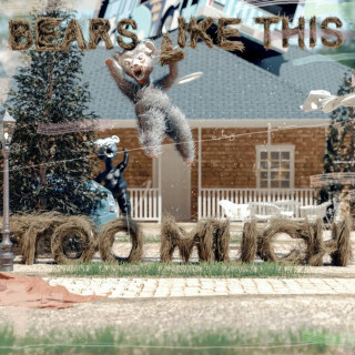 Spillage Village - Bears Like This Too Much mixtape cover