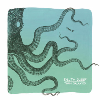 Delta Sleep - Twin Galaxies album cover