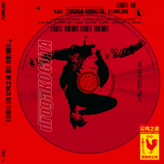 Kali & Flvwlxss - DROGA KOGUTA album cover