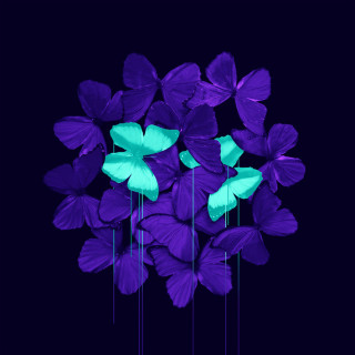 Lightworker - Fury By Failure album cover