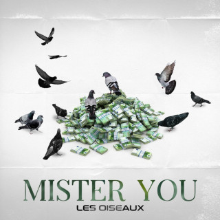 Mister You - Les Oiseaux EP cover