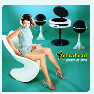 Zebrahead - Waste Of Mind album cover