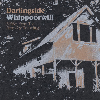 Darlingside - Whippoorwill EP cover