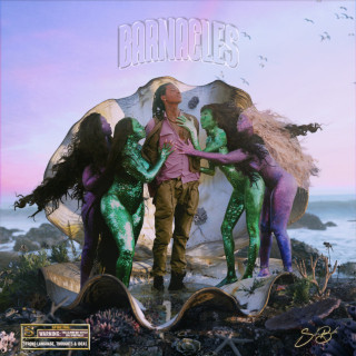 SahBabii - Barnacles mixtape cover
