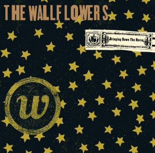 The Wallflowers - Bringing Down The Horse album cover
