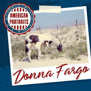 Donna Fargo - American Portraits: Donna Fargo album cover