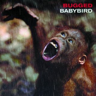 Babybird - Bugged album cover