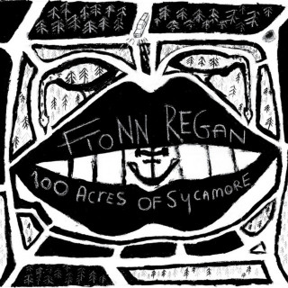 Fionn Regan - 100 Acres Of Sycamore album cover
