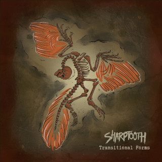 Sharptooth - Transitional Forms album cover