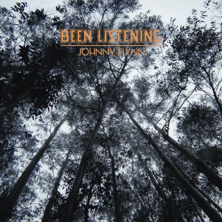 Johnny Flynn - Been Listening album cover