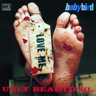 Babybird - Ugly Beautiful album cover