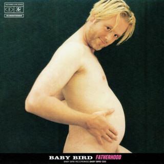 Babybird - Fatherhood album cover