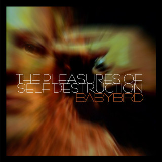 Babybird - The Pleasures Of Self Destruction album cover
