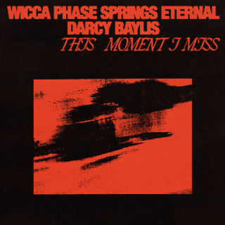 Wicca Phase Springs Eternal - This Moment I Miss EP cover