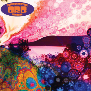 Chris Robinson Brotherhood - Phosphorescent Harvest album cover