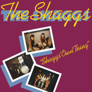 The Shaggs - Shaggs' Own Thing album cover
