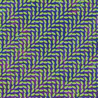 Animal Collective - Merriweather Post Pavilion album cover
