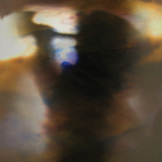 Animal Collective - Fall Be Kind EP cover
