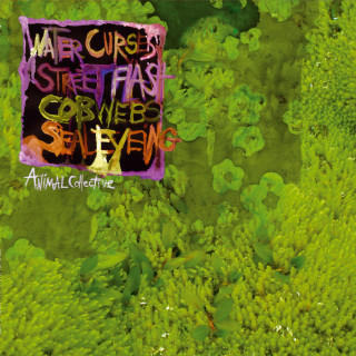 Animal Collective - Water Curses EP cover