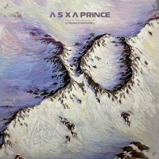 V $ X V PRiNCE - 30 album cover