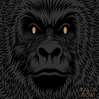 Małpa - Mówi album cover