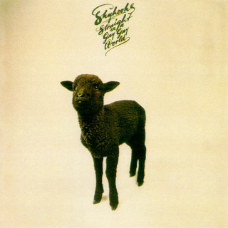 Skyhooks - Straight In A Gay Gay World album cover