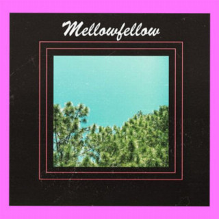 Mellow Fellow - 604 DIAMOND STREET album cover