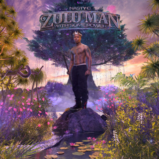 Nasty C - Zulu Man With Some Power album cover