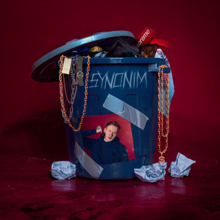 DK - SYNONIM album cover
