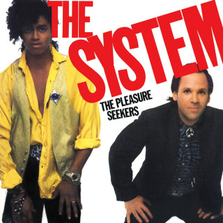 The System - The Pleasure Seekers album cover