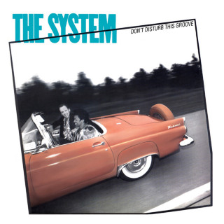 The System - Don't Disturb This Groove album cover