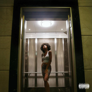Junglepussy - Pregnant With Success album cover