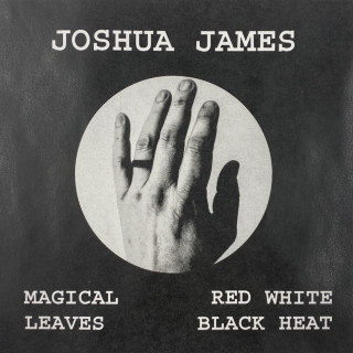 Joshua James - Magical Leaves Red White Black Heat album cover