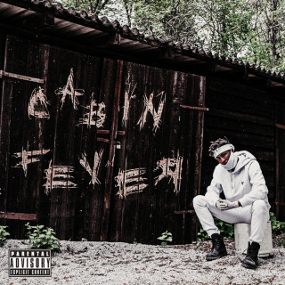 Bmike - Cabin Fever EP cover