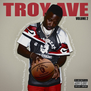 Troy Ave - Troy Ave, Vol. 2 album cover