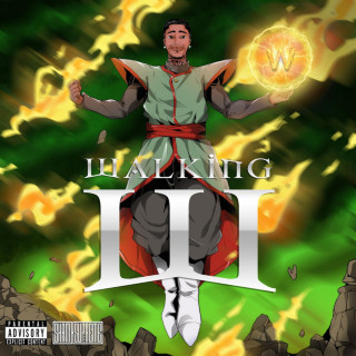Flight - Walking W album cover